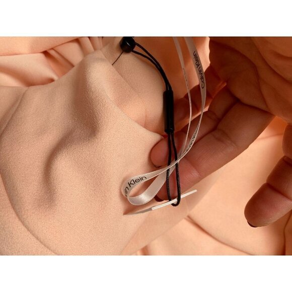 Calvin Klein Women seamed sleeveless in nectar Dress BNWOT sz 4 - Picture 7 of 7